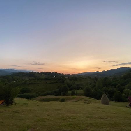 Cabana Cu Teren De Tenis -- Etaj Banita Exteriér fotografie