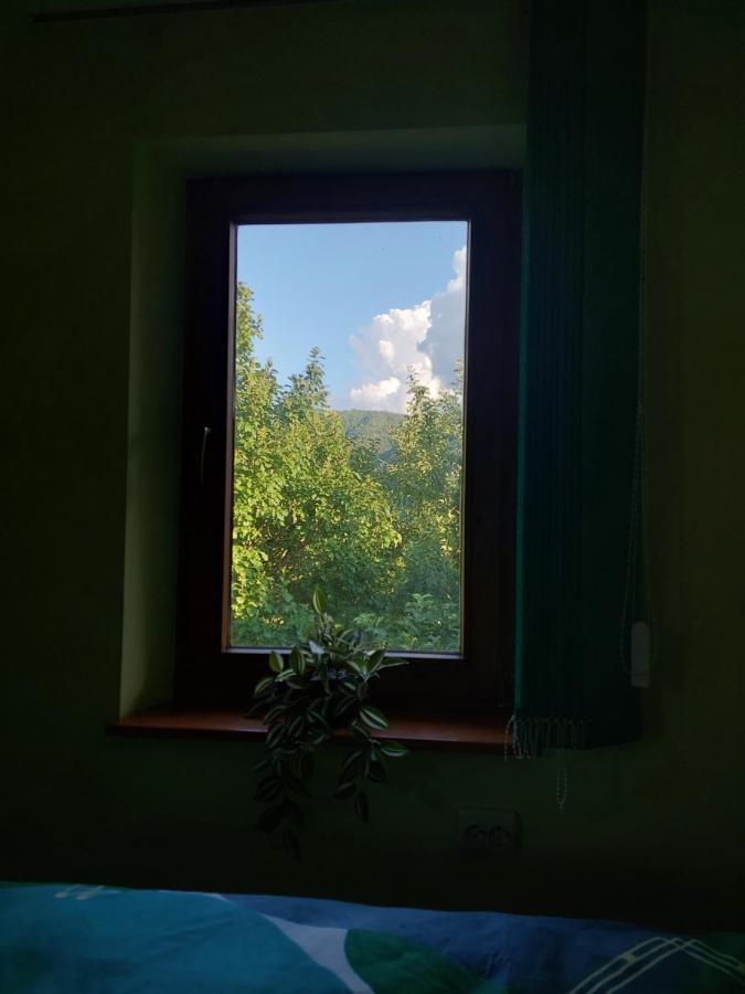 Cabana Cu Teren De Tenis -- Etaj Banita Exteriér fotografie