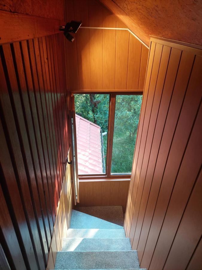 Cabana Cu Teren De Tenis -- Etaj Banita Exteriér fotografie