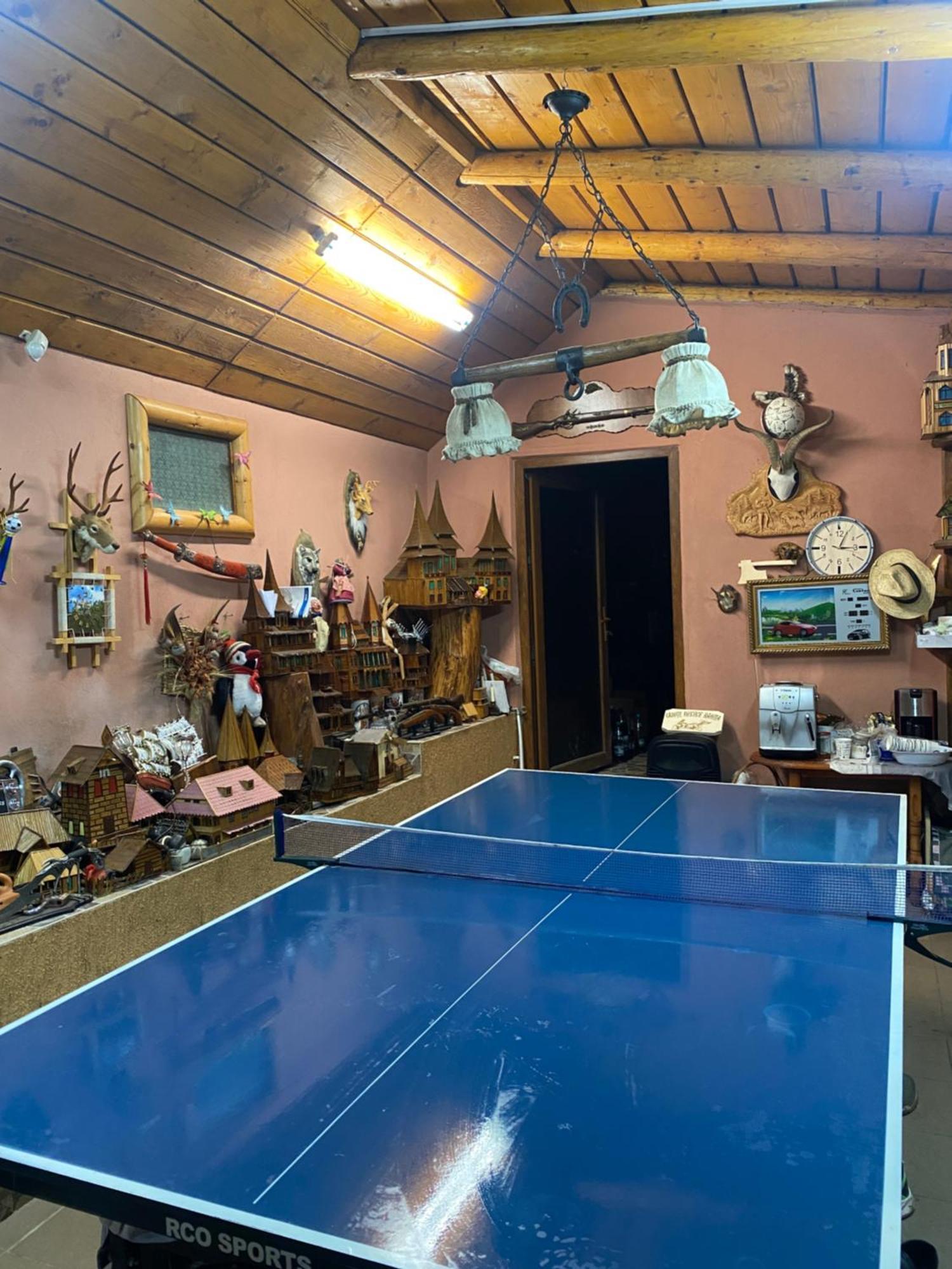 Cabana Cu Teren De Tenis -- Etaj Banita Exteriér fotografie